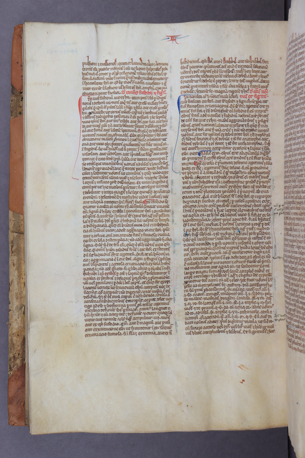 Folio 98 verso